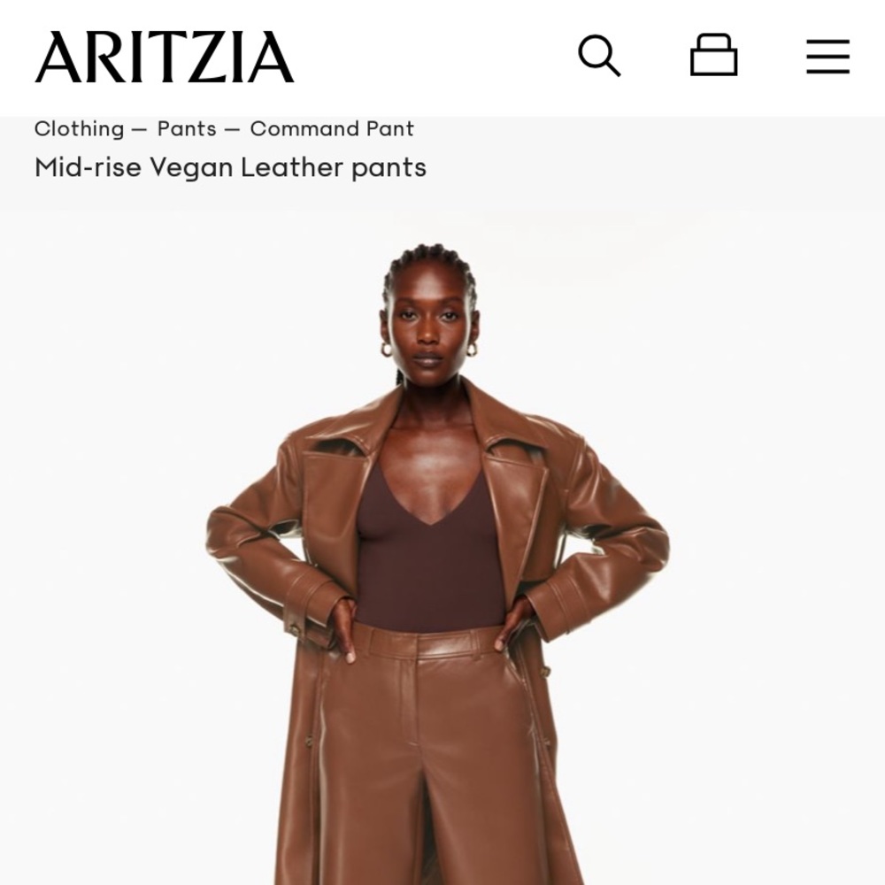 Aritzia brown leather Command Pant